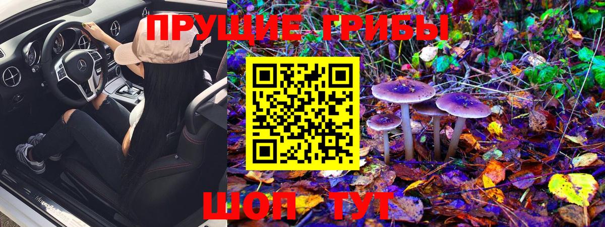 Псилоцибиновые грибы мухоморы Шали