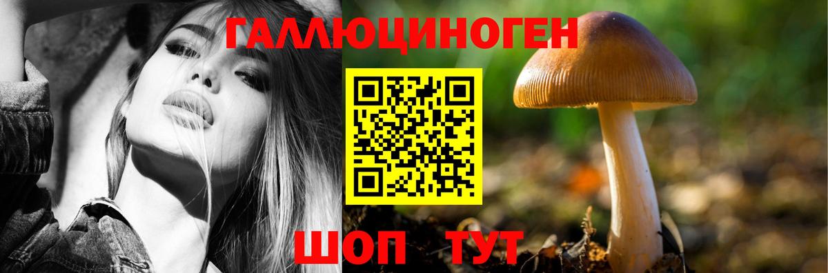 Шали  дарнет шоп  Вход с VPN  Псилоцибиновые грибы Psilocybine cubensis 